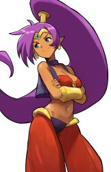 1girl bandeau bare_shoulders blue_eyes breasts choker circlet cleavage closed_mouth crossed_arms dark-skinned_female dark_skin duplicate earrings forehead_jewel genie gold_bracer gold_earrings high_ponytail highres jewelry long_hair looking_to_the_side medium_breasts mirlo2hu navel o-ring o-ring_top pants pixel-perfect_duplicate pointy_ears ponytail purple_hair purple_vest red_pants shantae shantae_(series) shantae_and_the_pirate&#039;s_curse simple_background smile solo standing very_long_hair vest white_background