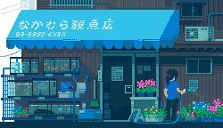 1girl air_bubble air_conditioner animated animated_gif black_hair black_pants blue_flower blue_shirt blue_theme broom bubble bucket day door female_focus fish fish_tank flower flower_pot flower_shop from_behind goldfish hose jellyfish lowres orange_flower original outdoors pants pink_flower pixel_art ponytail power_lines shelf shirt shop short_sleeves slice_of_life solo standing toyoi_yuuta watering