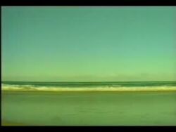 animated beach bird commercial final_fantasy final_fantasy_iv laughing lowres ostrich real_life solo sound tagme video