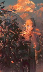 1boy bad_source black_pants blonde_hair blue_eyes bug check_copyright closed_mouth cloud cloudy_sky copyright_request cowboy_shot crossed_hands dragonfly eyes_visible_through_hair hair_over_eyes holding holding_stick insect link long_hair long_sleeves looking_at_animal male_focus mountainous_horizon nintendo pants pointy_ears scar scar_on_arm shirt sky solo starstruckdon stick the_legend_of_zelda white_shirt