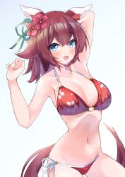 1girl animal_ears bikini blue_eyes breasts brown_hair cleavage commentary_request ear_covers flower hair_between_eyes hair_flower hair_ornament halterneck highres horse_ears horse_girl horse_tail komb large_breasts looking_at_viewer print_bikini red_bikini sakura_chiyono_o_(umamusume) short_hair side-tie_bikini_bottom solo string_bikini swimsuit tail umamusume