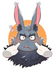1boy animal_ear_fluff animal_ears baade_(xxl) bara black_fur blush chinese_commentary chinese_text commentary_request disembodied_hand ears_up embarrassed eyebrow_cut eyebrow_piercing face_piercing furry furry_male hands_on_another&#039;s_cheeks hands_on_another&#039;s_face highres looking_at_viewer male_focus open_mouth piercing rabbit_boy rabbit_ears surprised sweatdrop translation_request upper_body whiskers who_corals wide-eyed xxl_woofia