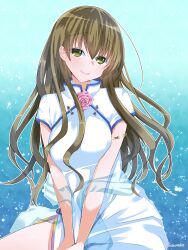 Rule 34 | 1girl, akanegasaki sora, blush, china dress, chinese clothes, dress, ever 17, flower, green eyes, green hair, highres, long hair, pelvic curtain, rose, satsukichi05, shawl, side slit, smile, solo, very long hair