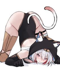 Rule 34 | 1girl, absurdres, animal ears, animal hood, ass, black gloves, black leotard, blue eyes, blush, boots, breasts, cat ears, cat hood, cat tail, cipher (honkai: star rail), cipher (honkai: star rail) (cosplay), colored inner hair, commentary, cosplay, english commentary, gloves, gold boots, highres, honkai: star rail, honkai (series), hood, leotard, miclipse, multicolored hair, red hair, short hair, simple background, solo, tail, thighs, top-down bottom-up, topaz (honkai: star rail), two-tone hair, white background, white hair