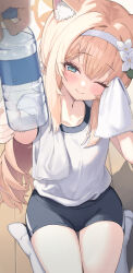 Rule 34 | 1girl, absurdres, animal ear fluff, animal ears, black shorts, blue archive, blue eyes, blush, bottle, cat ears, cat girl, closed mouth, collarbone, commentary request, flower, gym shirt, gym shorts, gym uniform, hair flower, hair ornament, hairband, halo, highres, holding, holding bottle, long hair, looking at viewer, mari (blue archive), mari (track) (blue archive), mixed-language commentary, official alternate costume, one eye closed, orange hair, pipi ya, plastic bottle, seiza, shadow, shirt, shorts, sitting, smile, socks, thighs, water bottle, white flower, white hairband, white shirt, white socks, wiping sweat, wooden floor, yellow halo