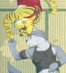 2boys absurdres animal_ears black_tank_top cat_nose closed_eyes commentary_request dog_boy dog_ears dog_nose dog_tags dog_tail furry furry_male grey_fur grey_hair highres imminent_hand_holding jewelry kouya_aotsuki male_focus morenatsu multiple_boys muscular muscular_male necklace on_floor open_mouth red_tank_top rotton99 sleeping tail tank_top tatami tiger_boy tiger_ears tiger_stripes tiger_tail torahiko_oshima yellow_fur