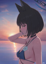 1girl afe. animal_ears bikini black_eyes black_hair blue_archive blue_bikini blue_halo breasts cat_ears cat_girl cloud commentary evening halo kikyou_(blue_archive) kikyou_(swimsuit)_(blue_archive) medium_breasts outdoors short_hair sky solo swimsuit upper_body