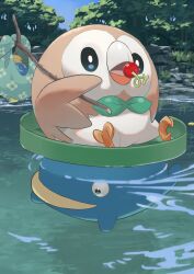 Rule 34 | animal focus, berry (pokemon), bindle, bird, cheri berry, day, eating, gen 3 pokemon, gen 7 pokemon, highres, kanataeni, lily pad, lotad, nintendo, no humans, open mouth, oran berry, outdoors, owl, partially submerged, pokemon, pokemon (creature), pokemon focus, rowlet, sitrus berry, tree, water