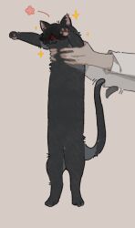 1girl absurdres animal animal_focus animalization black_cat blood blood_on_face brown_background cat full_body heroine_(homicipher) highres holding holding_animal homicipher longcat_(meme) meme mr._crawling simple_background sparkle sparkling_aura tail tail_wagging yimeidesu430