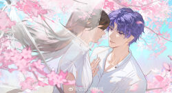 1boy 1girl absurdres brown_hair cherry_blossoms closed_mouth collarbone curly_hair dress_shirt faceless gradient_eyes gugu_(mirukai) highres long_hair looking_at_another love_and_deepspace multicolored_eyes parted_bangs parted_lips protagonist_(love_and_deepspace) purple_eyes purple_hair rafayel_(love_and_deepspace) shirt short_hair transparent transparent_umbrella umbrella upper_body white_shirt