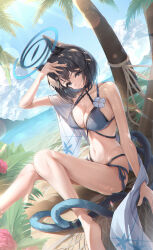 1girl absurdres animal_ears bikini black_eyes black_hair blue_archive blue_bikini blue_halo blue_sky breasts cat_ears cat_girl cat_tail cleavage cloud cloudy_sky day halo haori highres japanese_clothes kikyou_(blue_archive) kikyou_(swimsuit)_(blue_archive) medium_breasts multiple_tails navel norimori official_alternate_costume outdoors palm_tree parted_lips sand short_hair sky solo swimsuit tail tree two_tails white_haori