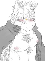 1boy ainu_clothes animal_ears blush closed_mouth coat coat_on_shoulders commentary_request furry furry_male gegegenomin headband horkeu_kamui male_focus muscular muscular_male nipples partially_colored pectorals tokyo_houkago_summoners upper_body white_background wolf_boy wolf_ears