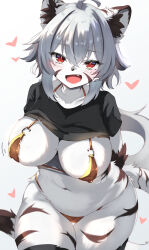 1girl :d an_choby animal_ears bikini black_shirt body_fur clothes_lift fang furry furry_female gold_bikini gradient_background grey_background heart highres looking_at_viewer navel open_mouth original red_eyes shirt shirt_lift short_hair smile solo swimsuit tail white_fur