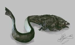 Rule 34 | fins, giant, giant monster, godzilla, godzilla (series), hanekura bou, highres, kaiju, long tail, monster, open mouth, sea monster, sharp teeth, shin godzilla, simple background, swimming, tail, teeth, toho, very long tail, white background