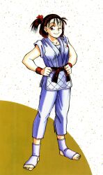 Rule 34 | 1girl, absurdres, artist request, brown eyes, brown hair, closed mouth, collarbone, female focus, hands on own hips, highres, izumo ryoko, judogi, looking at viewer, martial arts belt, matching hair/eyes, neo geo, one eye closed, retro artstyle, smile, snk, solo, wink, world heroes, wristband