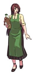 1girl apron auburn_hair bag beige_blouse brown_eyes brown_skirt caitin food green_apron highres iggler loafers long_hair mabinogi nail_polish paper_bag radish sausage shoes short_sleeves skirt smile