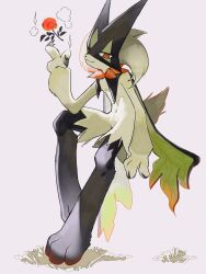 1other animal_hands animal_nose black_fur body_fur cape flower full_body furry green_cape green_fur green_hair half-closed_eyes highres kashiwa_gnu looking_at_viewer mask meowscarada nintendo other_focus pokemon pokemon_(creature) red_eyes red_flower red_rose rose short_hair short_tail simple_background sitting smile solo tail two-tone_fur white_background