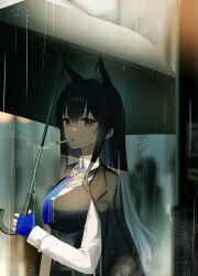 1girl absurdres animal_ear_fluff animal_ears arknights black_hair black_jacket black_umbrella black_vest blue_gloves blue_necktie brown_eyes cigarette collared_shirt fingerless_gloves from_side gloves highres holding holding_umbrella jacket jacket_on_shoulders long_hair long_sleeves looking_at_viewer looking_to_the_side necktie nishimiya_aki rain shirt smoking solo texas_(arknights) texas_the_omertosa_(arknights) umbrella upper_body vest white_shirt wolf_ears wolf_girl