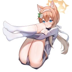 1girl absurdres animal_ear_fluff animal_ears blue_archive blue_eyes blush cat_ears cat_girl commentary_request flower gym_shorts gym_uniform hair_flower hair_ornament hairband halo highres hugging_own_legs jacket kneehighs long_hair looking_at_viewer mari_(blue_archive) mari_(track)_(blue_archive) multicolored_jacket official_alternate_costume open_mouth orange_hair ponytail shorts simple_background socks soles solo teeth_bro thighs track_jacket white_background white_flower white_hairband white_socks yellow_halo