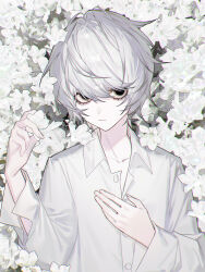 1boy absurdres black_eyes death_note empty_eyes field flower flower_field grey_hair highres looking_at_viewer male_focus n_a994014 near_(death_note) shirt short_hair solo upper_body white_flower white_shirt