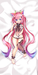 1girl absurdres ahoge animal_ear_fluff animal_ears anklet bare_shoulders black_bow black_bowtie black_panties black_thighhighs blush bow bowtie breasts chinese_commentary commentary_request covered_navel dakimakura_(medium) fang finger_to_mouth fox_ears fox_girl from_above full_body gradient_hair hair_between_eyes hair_ornament hand_on_own_stomach highres indie_virtual_youtuber jewelry leotard long_bangs long_hair lying multicolored_hair no_shoes on_back open_mouth panties pink_hair purple_eyes sidelocks single_bare_leg smile solo stirrup_legwear teletha_(vtuber) thighhighs toeless_legwear toes underwear very_long_hair zhouhan12160