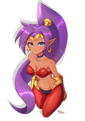 1girl arms_at_sides blue_eyes bra breasts circlet closed_mouth dark-skinned_female dark_skin earrings genie highres jewelry looking_at_viewer medium_breasts pants pointy_ears ponytail purple_hair red_bra red_pants shantae shantae_(series) underwear upper_body wakaba_(wata_ridley)