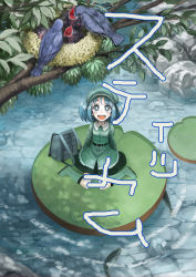 1girl :d backpack bad_id bad_pixiv_id bag bird blue_hair boots female_focus fish from_above hat kawashiro_nitori lily_pad looking_up mitsuki32k nature nest open_mouth outdoors plant randoseru river short_hair sitting skirt smile solo stickam touhou twintails two_side_up wariza