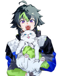 Rule 34 | 1boy, ahoge, animal, blonde hair, cat, fangs, gloves, green hair, hair between eyes, hair flaps, highres, holding, holding animal, inami rai, jacket, looking at viewer, male focus, multicolored hair, multicolored jacket, nijisanji, open mouth, short hair, simple background, solo, streaked hair, teeth, upper body, virtual youtuber, white background, white cat, white gloves, zakiaoi