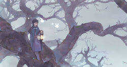1girl bare_tree black_hair boots cape cloak dlkdhy dress highres holding holding_lantern lantern long_hair original outdoors ponytail purple_dress solo standing tree wide_shot