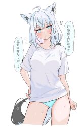 1girl absurdres ahoge alternate_costume animal_ears blue_eyes blue_panties blush breasts closed_mouth fox_ears fox_girl fox_tail hand_on_own_hip highres hololive looking_at_viewer medium_breasts medium_hair panties shirakami_fubuki shirt solo tail underwear virtual_youtuber warg_game white_hair white_shirt