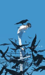 1boy bent_over bird bird_on_back black_hair blue_sky clear_sky covered_face crow dated day english_text facing_down falling_feathers feathers hands_in_pockets highres jacket long_sleeves male_focus on_top_of_pole open_clothes open_jacket original outdoors pants parted_bangs power_lines rido_(ridograph) shirt short_hair sidelocks signature sky solo utility_pole white_jacket white_pants white_shirt wide_shot