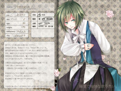 1boy baggy_pants blue_vest bowing brown_pants character_profile clown_(ragnarok_online) collared_shirt commentary_request cowboy_shot flower green_eyes green_hair grey_background jewelry long_sleeves looking_at_viewer male_focus open_mouth pants pink_flower purple_pants purple_vest ragnarok_online ring shirt short_hair smile solo translation_request two-tone_pants two-tone_vest vest wane_(ruki) white_shirt