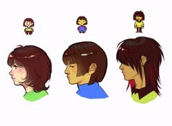 3others blue_sweater blunt_ends blush brown_hair chara_(undertale) closed_mouth colored_skin deltarune ear_piercing facial_hair frisk_(undertale) goatee_stubble green_sweater gwenervi highres hime_cut kris_(deltarune) medium_hair multiple_others other_focus pale_skin piercing red_eyes shirt short_hair simple_background smile stubble sweater undertale white_background yellow_skin