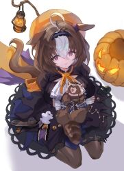 Rule 34 | 1girl, :3, @ @, absurdres, ahoge, animal ears, breasts, closed mouth, commentary, delfin59, hair between eyes, hair ornament, halloween, hat, headband, highres, horse ears, jack-o&#039;-lantern, lantern, large breasts, medium hair, meisho doto (dot-o&#039;-lantern) (umamusume), meisho doto (umamusume), multicolored hair, official alternate costume, pantyhose, pumpkin, purple eyes, raccoon, sitting, solo, streaked hair, umamusume, wariza, white background, white hair