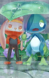 blush bright_pupils cloud cloudy_sky commentary_request creatures_(company) drizzile game_freak gen_8_pokemon hands_in_pockets highres holding improvised_umbrella nintendo no_humans open_mouth orange_eyes outdoors pokemon pokemon_(creature) purobe raboot rain shared_improvised_umbrella sky standing toes water_drop white_pupils
