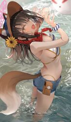 1girl absurdres animal_ears backless_bikini_bottom ball beachball bikini blue_archive brown_hair denim denim_shorts fang flower fox_ears fox_girl fox_shadow_puppet fox_tail from_side hair_flower hair_ornament halo highres izuna_(blue_archive) izuna_(swimsuit)_(blue_archive) looking_at_viewer micro_shorts official_alternate_costume open_mouth partially_submerged pink_halo pjkka red_scarf scarf shorts skin_fang smile solo striped_bikini striped_clothes sunflower sunflower_hair_ornament swimsuit tail visor_cap