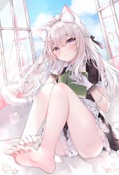 1girl absurdres animal_ear_fluff animal_ears apron bare_legs barefoot black_shirt black_skirt blue_sky blush book braid cat_ears cat_girl cat_tail closed_mouth clothes_between_thighs cloud cloudy_sky commentary_request curtains day fang fang_out feet floating_hair foot_focus foreshortening frilled_apron frilled_gloves frilled_skirt frills gloves hair_between_eyes hands_up highres holding holding_book knees_up legs long_hair maid maid_headdress open_book open_window original petals pleated_skirt puffy_short_sleeves puffy_sleeves purple_eyes rucaco shirt short_sleeves sitting skirt sky smile solo tail thighs transparent very_long_hair waist_apron white_apron white_gloves window