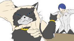 1boy animal animal_focus black_cat black_pants blue_eyes blue_hair cat closed_mouth faceless faceless_male finger_frame highres igusaharu kitagawa_yuusuke long_sleeves male_focus morgana_(cat)_(persona_5) morgana_(persona_5) multiple_views pants persona persona_5 shirt simple_background white_background white_shirt