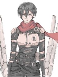 1girl belt black_eyes black_hair dongyoo hair_between_eyes highres looking_at_viewer mikasa_ackerman red_scarf scarf shingeki_no_kyojin short_hair solo