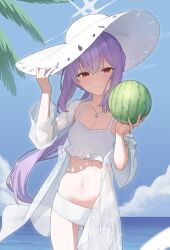 1girl absurdres atsuko_(blue_archive) atsuko_(swimsuit)_(blue_archive) bikini blue_archive camera cowboy_shot cross_halo food frilled_bikini frills fruit halo hand_on_headwear hat highres holding holding_food holding_fruit holding_watermelon jacket liago long_hair looking_at_viewer navel official_alternate_costume ponytail see-through_clothes see-through_jacket smile solo sun_hat swimsuit watermelon white_bikini white_halo white_hat