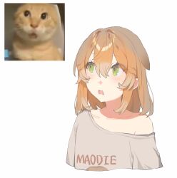 Rule 34 | 2794938064, absurdres, animal ears, cat ears, chinese commentary, commentary, green eyes, hair between eyes, highres, humanization, looking to the side, meme, off-shoulder shirt, off shoulder, orange cat, original, parody, round-headed mao die, round-headed mao die (meme), scared, shirt, white background