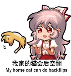 Rule 34 | 1girl, bilingual text, bow, cat, chibi, chinese text, commentary, english commentary, english text, fujiwara no mokou, hair between eyes, jokanhiyou, long hair, looking at animal, lowres, mixed-language text, motion lines, no nose, open mouth, pants, pink hair, puffy short sleeves, puffy sleeves, red bow, red eyes, red pants, shirt, short sleeves, suspenders, touhou, two-tone bow, very long hair, white bow, white shirt
