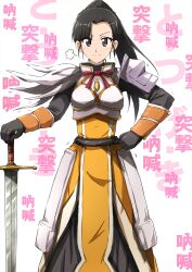 Rule 34 | 1girl, alternate hairstyle, armor, armored dress, asymmetrical bangs, black eyes, black gloves, black hair, closed mouth, cosplay, cowboy shot, darkness (konosuba), darkness (konosuba) (cosplay), dress, girls und panzer, gloves, highres, kono subarashii sekai ni shukufuku wo!, long dress, long hair, long sleeves, looking at viewer, neck ribbon, nishi kinuyo, omachi (slabco), orange dress, pauldrons, ponytail, puff of air, red ribbon, ribbon, shoulder armor, single pauldron, smile, solo, standing, text background, translated, white background