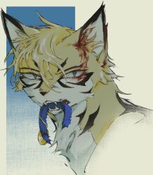 Rule 34 | animal, animal focus, blood, blood on face, blue collar, body fur, cat, collar, green eyes, longtail, mouth hold, multicolored fur, no humans, portrait, simple background, solo, teeth, torn collar, warrior cats, wxlfpatch, yellow fur