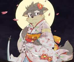 1boy bara blush cherry_blossoms closed_mouth crossdressing full_moon furry furry_male kinoko3331 looking_at_viewer male_focus moon moritaka_(housamo) obi planted planted_sword planted_weapon sash scar scar_on_arm scar_on_face scar_on_nose solo sword tokyo_houkago_summoners weapon wide_sleeves