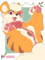 1girl animal animal_hands animal_pussy artist_name canine_pussy fang gen_1_pokemon growlithe highres looking_at_viewer lying multicolored_fur nikkibunn nintendo on_back open_mouth orange_fur pawpads pokemon pussy red_eyes ribbon smile spread_legs tagme white_fur