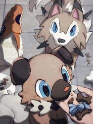 Rule 34 | arc draws, bowl, commentary, dog, english commentary, evolutionary line, gen 7 pokemon, highres, looking at viewer, lycanroc, lycanroc (midday), nintendo, no humans, pet bowl, pet food, pokemon, pokemon (creature), pov, pov hands, rare candy, rockruff, tile floor, tiles, twitter username