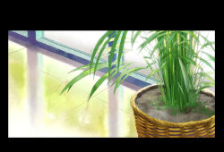 fern no_humans original plant potted_plant reflective_floor shadow slow_d still_life sunlight tile_floor tiles