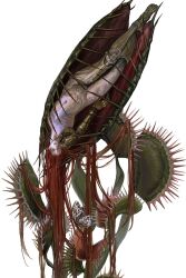 Rule 34 | 1girl, amputee, armor, bonley, bug, butterfly, elden ring, insect, long hair, malenia blade of miquella, malenia goddess of rot, navel, no eyes, open mouth, plant, prosthesis, prosthetic leg, red hair, simple background, solo, upside-down, venus flytrap, very long hair, white background
