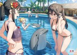 1boy bikini black_hair blonde_hair blue_eyes blush breasts brown_eyes brown_hair cleavage cowboy_shot dolphin elsa_muller_(sasaki_to_p-chan) flower front-tie_bikini_top front-tie_top futarishizukashi_(sasaki_to_p-chan) green_eyes hair_flower hair_ornament hand_in_own_hair hands_on_own_hips kantoku large_breasts long_hair multiple_girls open_mouth otonari-san_(sasaki_to_p-chan) ponytail pool poolside sasaki_to_p-chan see-through_clothes side-tie_bikini_bottom string_bikini swimsuit thighs upper_body water white_hair yellow_eyes